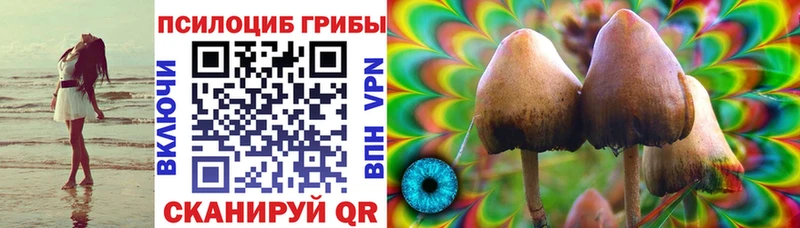 закладка  Сланцы  Галлюциногенные грибы ЛСД 